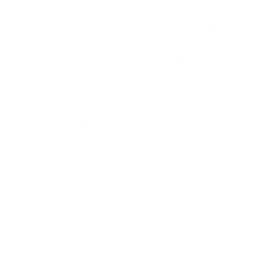 Jobs Abroad Logo
